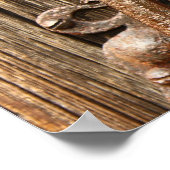 Oude deurknop poster (Hoek)