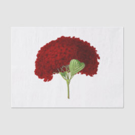 Oude Dieprode Hortensia Bloem Bloemstuk Tissuepapier