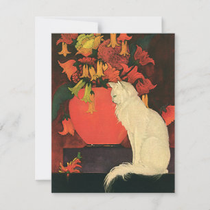 Oude dieren, elegante witte kat, herfstbloemen