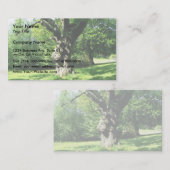 Oude dikke eikenboom visitekaartje (Voorkant / Achterkant)