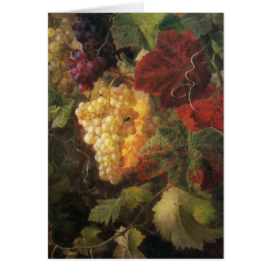 OUDE DRUIVENVINEYARD WIJNBELASTING (Voorkant)