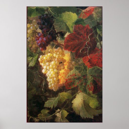 OUDE DRUIVENVINEYARD WIJNBELASTING POSTER (Voorkant)