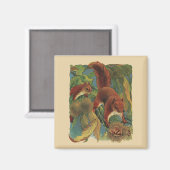 Oude eekhoorns, bosdieren, wilde dieren magneet (Voorkant / Achterkant)