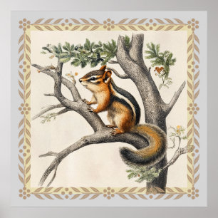 Oude eekhoornschets voor natuurminnaars poster