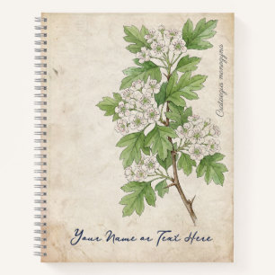 Oude Eenstijlige Meidoorn (Crataegus monogyna) Notitieboek
