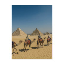 Oude Egyptische piramides woestijn Kameelrit