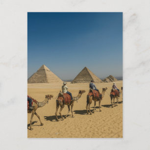 Oude Egyptische piramides woestijn Kameelrit Briefkaart
