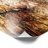 Oude eiken boomschors foto afdruk (Hoek)