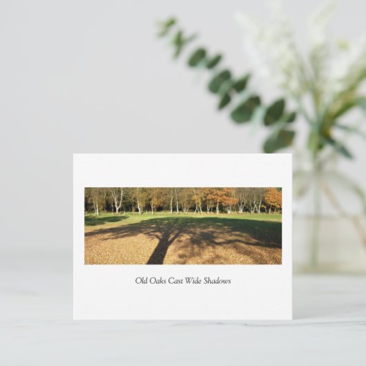 Oude eiken werpen brede schaduwen briefkaart (Staand voorkant)