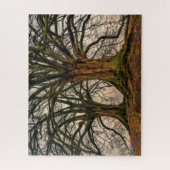 Oude eikenboom in de winter legpuzzel (Verticaal)