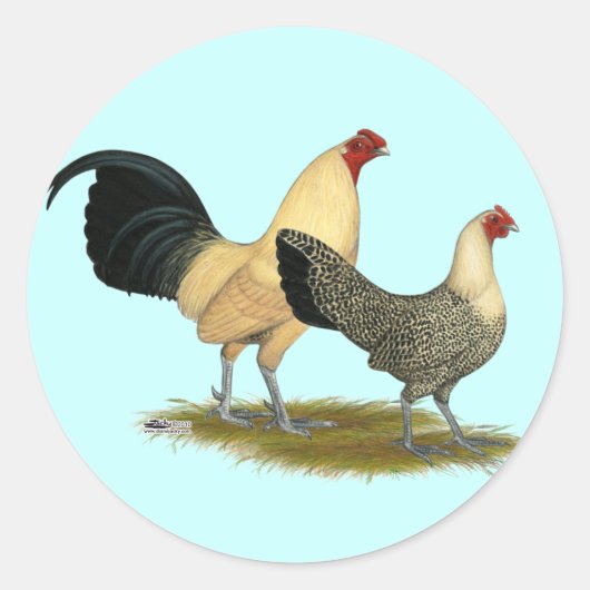 Oude Engelse Cream Buttercups Ronde Sticker (Voorkant)