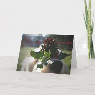 Oude Engelse Kerstmis van de Herdershond Feestdagen Kaart