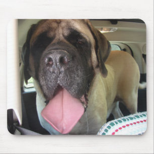 Oude Engelse Mastiff-Muismat Muismat