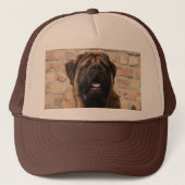 oude engelse Mastiff Trucker Pet (Voorkant)