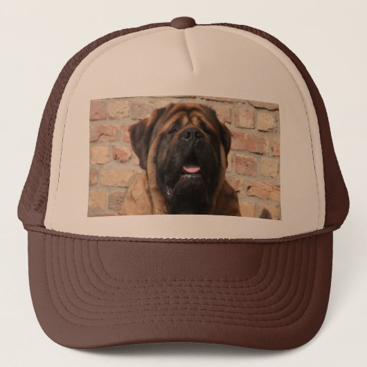 oude engelse Mastiff Trucker Pet (Voorkant)