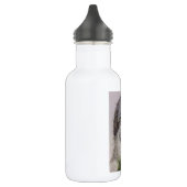 Oude Engelse schapenhond Waterfles (Links)
