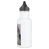 Oude Engelse schapenhond Waterfles (Rechts)