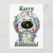 Oude Engelse Sheepdog - kerstlampjes Feestdagenkaart (Voorkant)