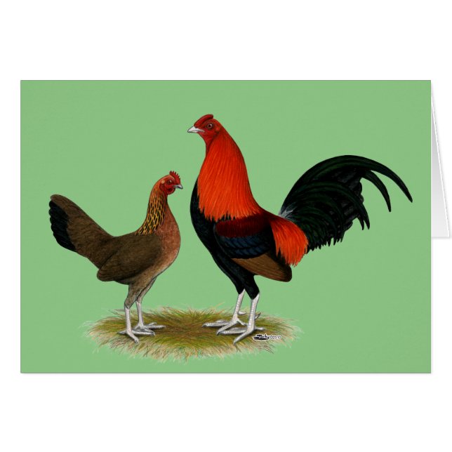 Oude Engelse spelbantams: BB Red Pair (Voorkant Horizontaal)