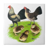 Oude Engelstalige Bantam Brassy Back Tegeltje (Voorkant)