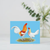 Oude Engelstalige gamenbank:  Red Pyle Briefkaart (Staand voorkant)