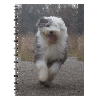 Oude Engelstalige Sheepdog-laptop - run Dog! Notitieboek