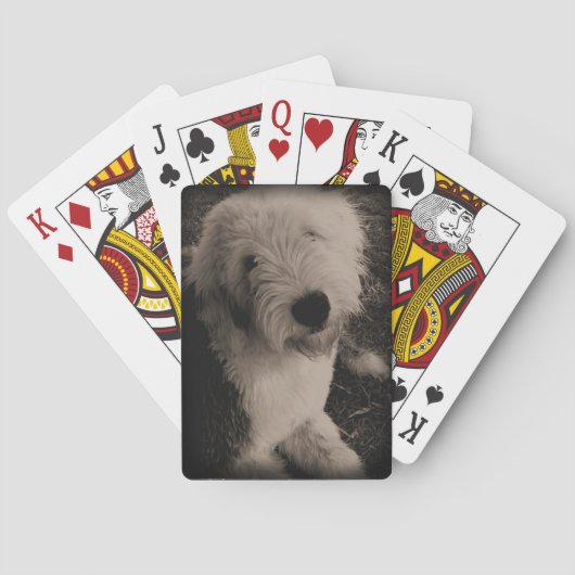  Oude Engelstalige Sheepdog Pokerkaarten (Achterkant)