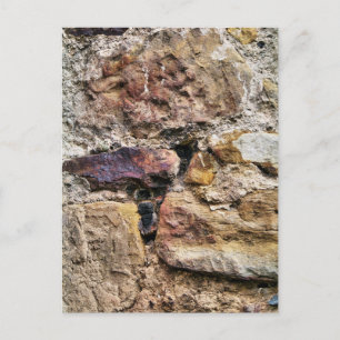 OUDE ENGLAND BRIEFKAART