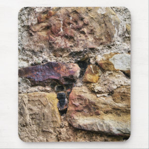 OUDE ENGLAND MUISMAT