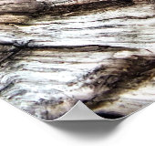 OUDE ENGLAND POSTER (Hoek)