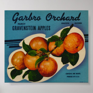 oude etiketten van appelfruit poster