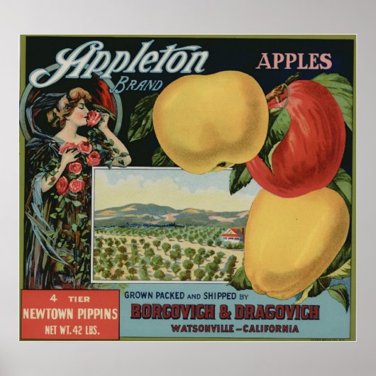 oude etiketten van appelfruit poster (Voorkant)