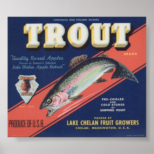  oude etiketten van appelfruit poster (Voorkant)