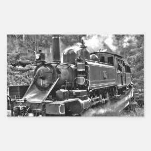 Oude fashioned Narrow Gage Steam Train Rechthoekige Sticker