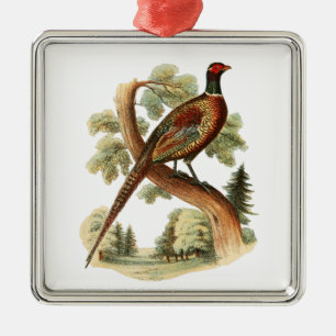 Oude fazant op tak met bomen Tekening Kleur Metalen Ornament