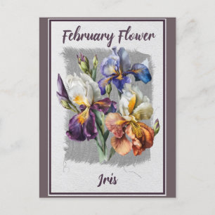 Oude februaribloem iris bloemstuk briefkaart