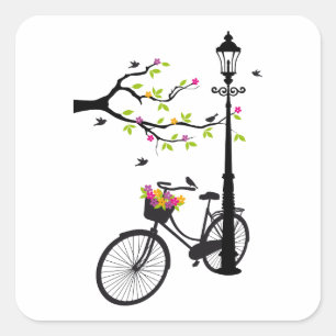 Oude fiets met lamp, bloemmandje, vogels, boom vierkante sticker