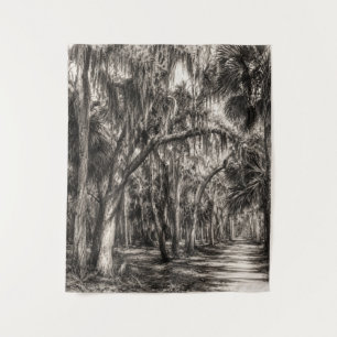 Oude Florida Oak Hammock Grafiet Schets Rockledg Wandkleed