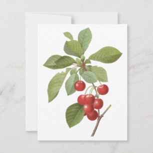 Oude Fruit, Kersen door Redoute Uitnodiging
