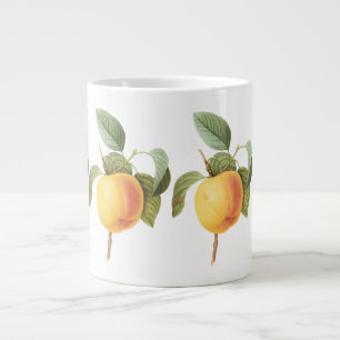 Oude Fruit Voedsel, Calville Appel door Redoute Jumbo Beker