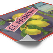 oude fruitkratenetiketten poster (Hoek)