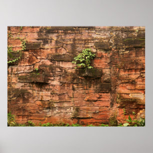 Oude gebroken muur poster