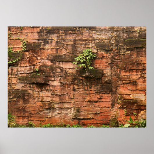 Oude gebroken muur poster (Voorkant)