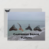 Oude gefossiliseerde haaientanden Florida Beach Tr Briefkaart (Voorkant / Achterkant)