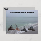Oude gefossiliseerde haaientanden Florida Beach Tr Briefkaart (Voorkant / Achterkant)