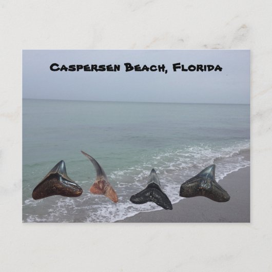 Oude gefossiliseerde haaientanden Florida Beach Tr Briefkaart (Voorkant)