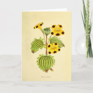 Oude gele en rode bloemillustratie kaart