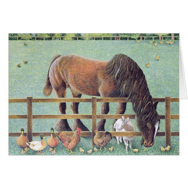 Oude gelovigen (Voorkant Horizontaal)