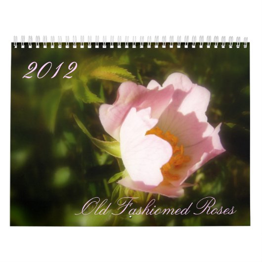 Oude gesmolten Rozen Kalender (Hoes)