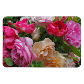 Oude gesmolten Rozen Magneet (Horizontaal)